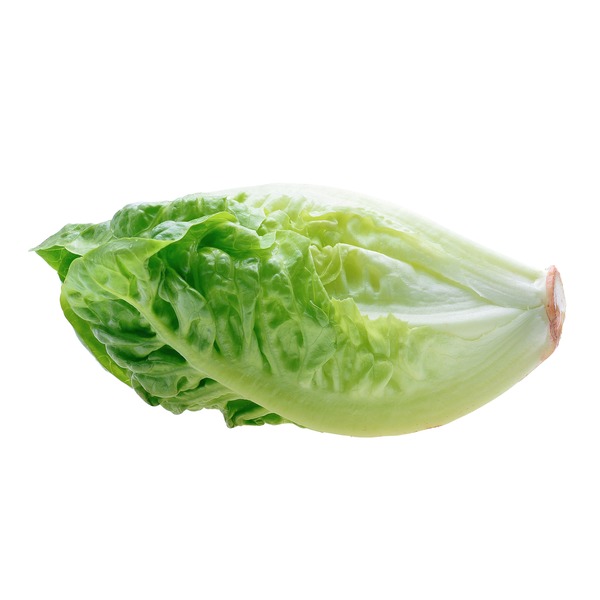 Baby Romaine Lettuce