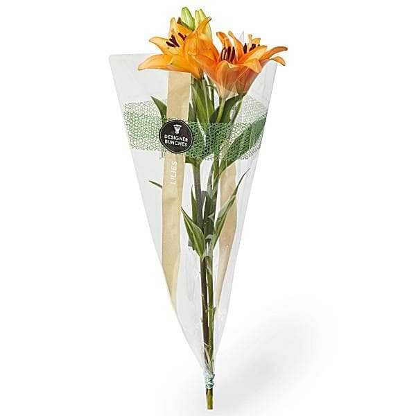 Lily Bunch