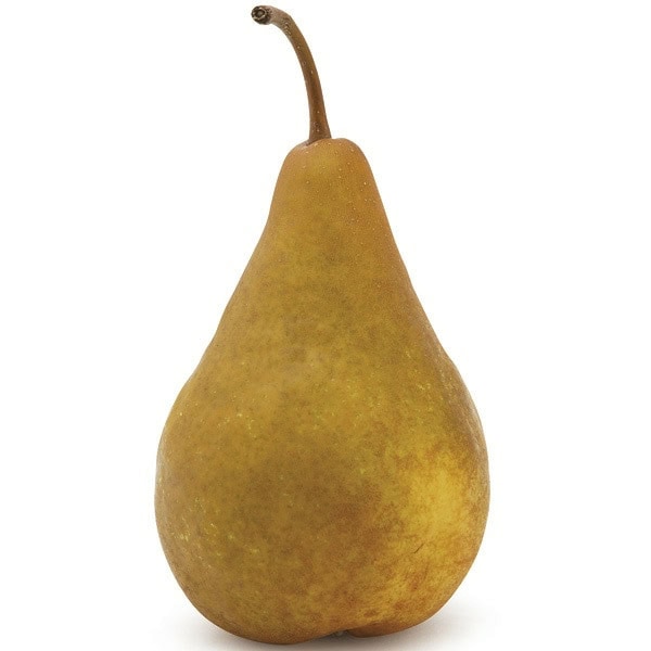 Bosc Pear