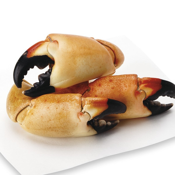 4 to 6 Count Large Fresh Wild Stone Crab Claws