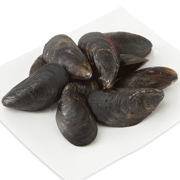 Mussels, Live Farm Raised