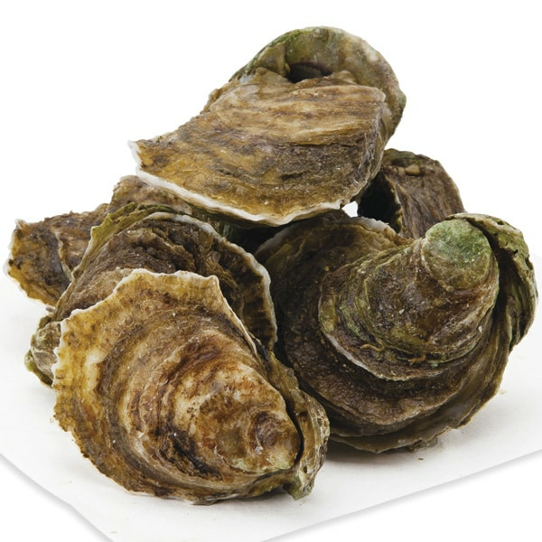 Oysters, Live Wild Or Farmed