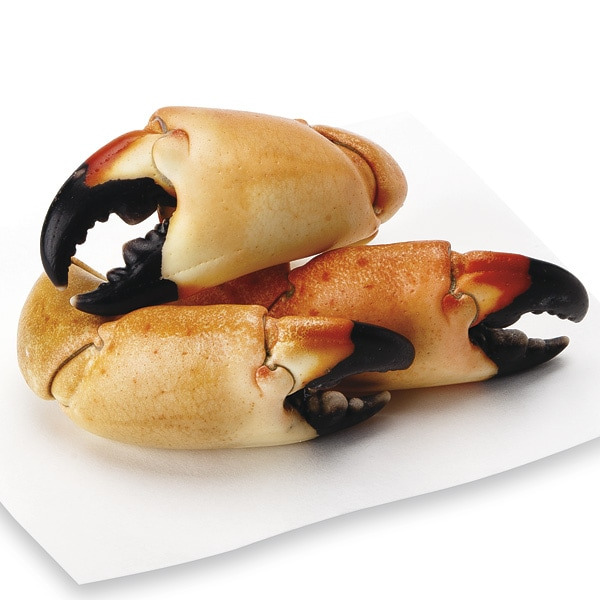 Cooked Fresh Wild Stone Crab Claws, Medium, 6-8 Claws/Lb