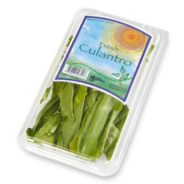 Cilantro