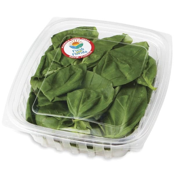 Florida Fresh Herbs Basil, Hydroponic
