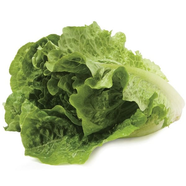 Romaine Lettuce