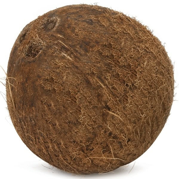 Coconut
