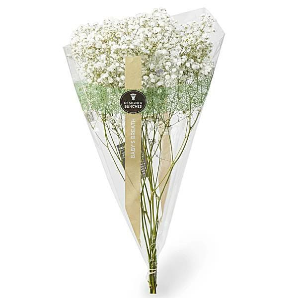Baby's Breath Bunch