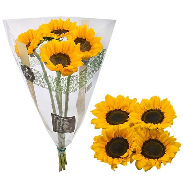 Sunflower Bunch