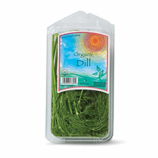 The Herbal Garden Organic Dill